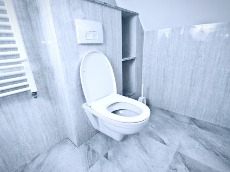 toilet repair
