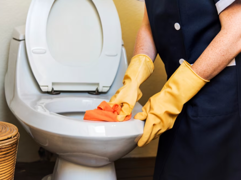Toilet Repair Installation in Allen