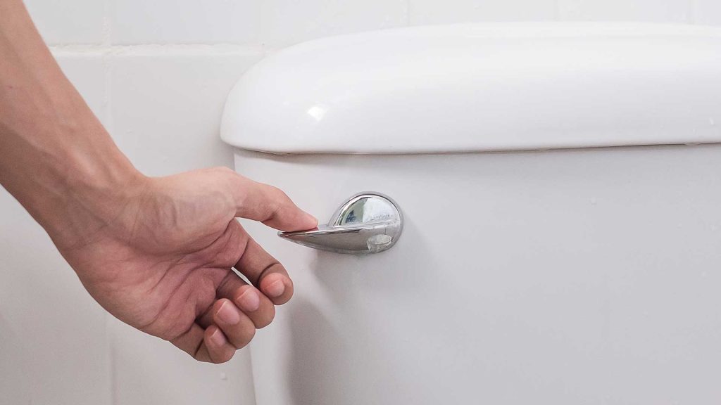 Toilet Flush Handle