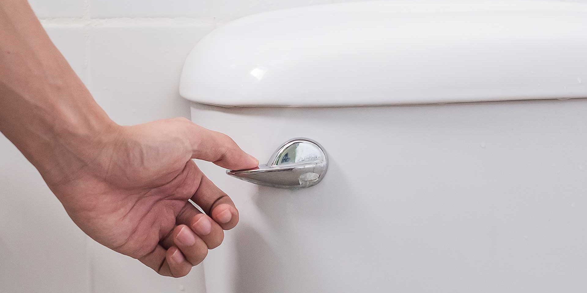 Toilet Flush Handle Toilet Flush Handle