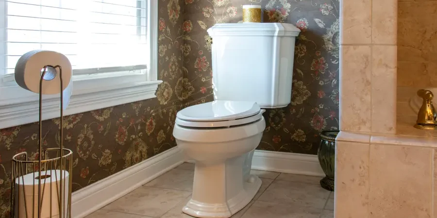 Cost of Toilet Installation Cost of Toilet Installation