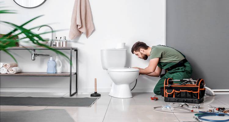 New Toilet Installation