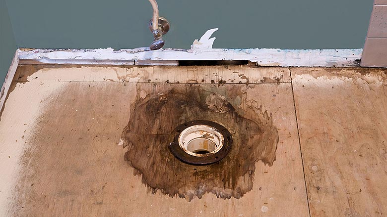 Toilet Repair Flange