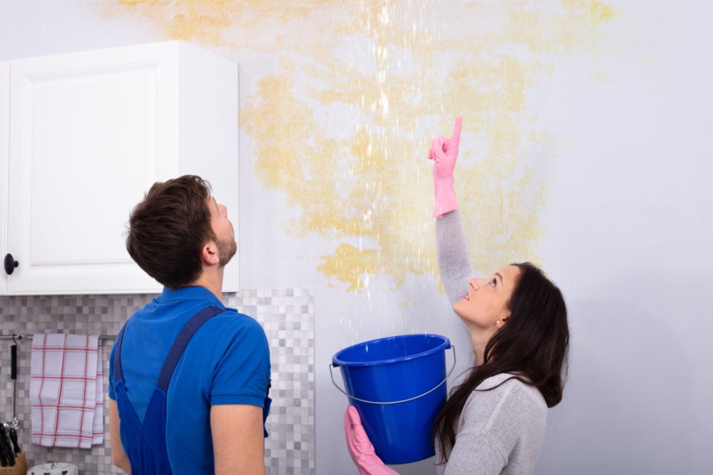 Home Water Leak Repair