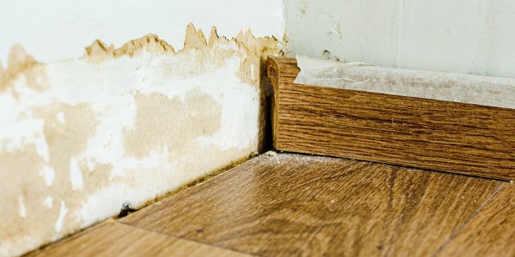 Plumber near me Plumber near me