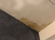 Plumber near me