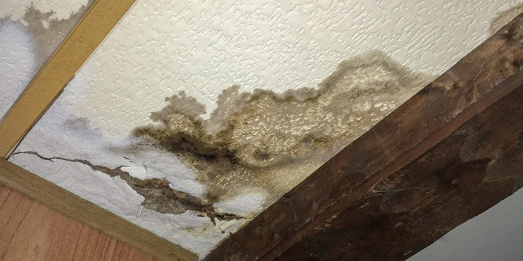 Water Damage Leak 36 Plumber near me