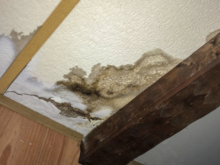 Water Damage Leak 36 Plumber near me