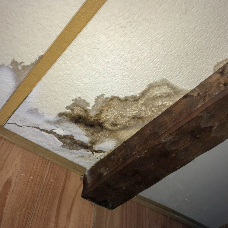 Plumber near me