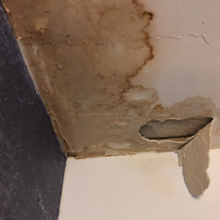 Sewell Plumbing
