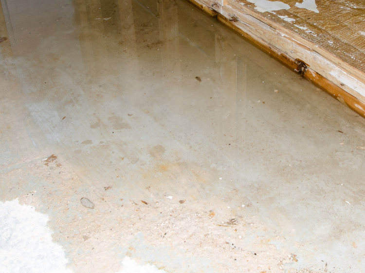 Sewell Plumbing Sewell Plumbing