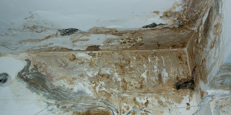 Water Damage Leak 18 Plumber near me