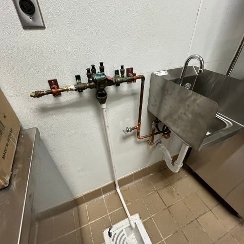 Copy of Untitled Design (500 x 500 px) (13)